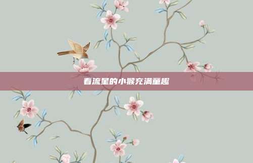看流星的小猴充满童趣
