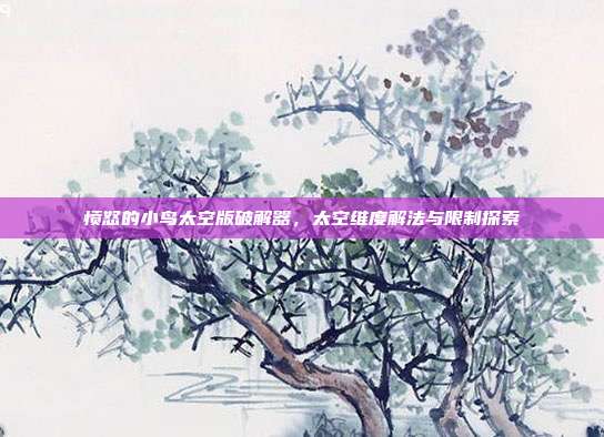 愤怒的小鸟太空版破解器,太空维度解法与限制探索