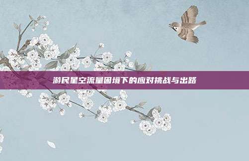 游民星空流量困境下的应对挑战与出路
