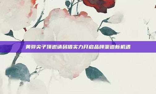 黄骅尖子顶邀请码借实力开启品牌渠道新机遇