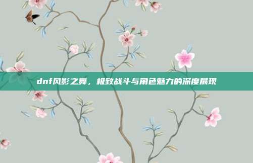 dnf风影之舞,极致战斗与角色魅力的深度展现
