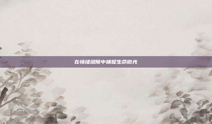 在情绪缝隙中捕捉生命微光