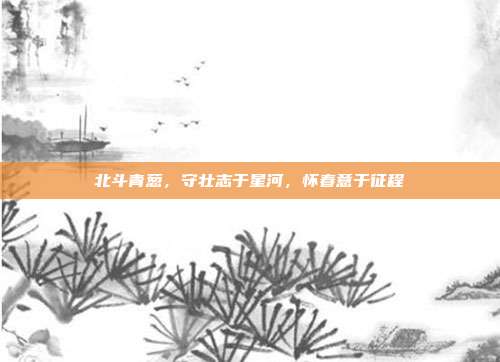 北斗青葱,守壮志于星河,怀春意于征程