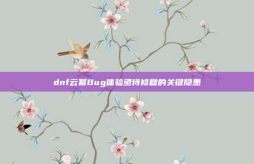 dnf云幂Bug体验亟待修复的关键隐患