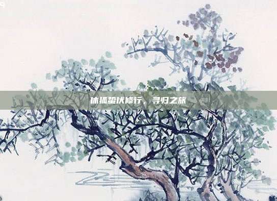 休狐蛰伏修行,寻归之旅