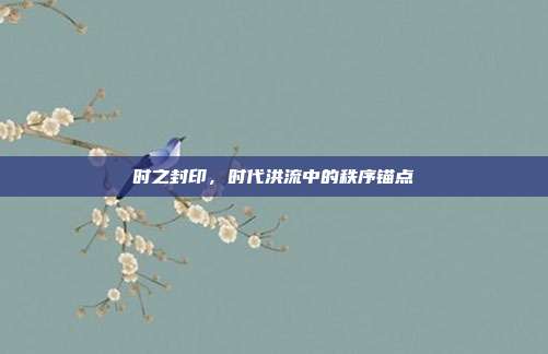 时之封印,时代洪流中的秩序锚点