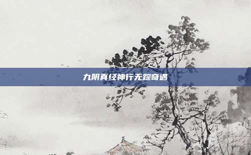 九阴真经神行无踪奇遇