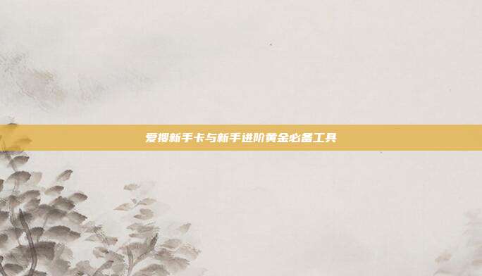爱搜新手卡与新手进阶黄金必备工具