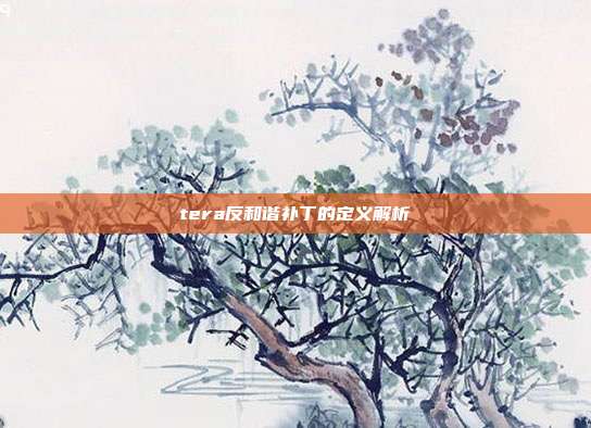 tera反和谐补丁的定义解析