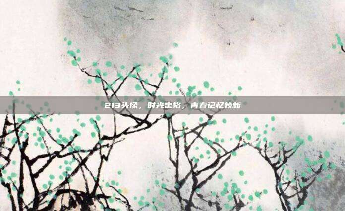 213头像,时光定格,青春记忆焕新