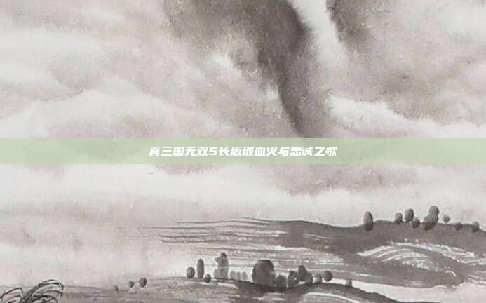 真三国无双5长坂坡血火与忠诚之歌