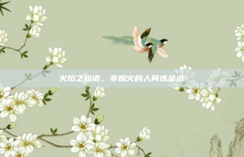 火焰之拉诺,非烟火的人间炼金术