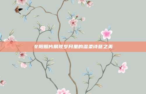 冬阳照片展现岁月里的温柔诗意之美