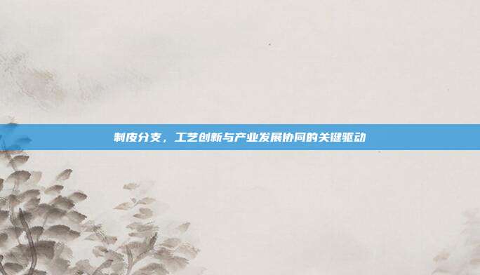 制皮分支,工艺创新与产业发展协同的关键驱动