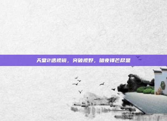 天堂2透视镜,突破视野,暗夜锋芒尽显