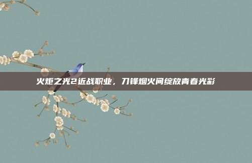 火炬之光2近战职业,刀锋烟火间绽放青春光彩