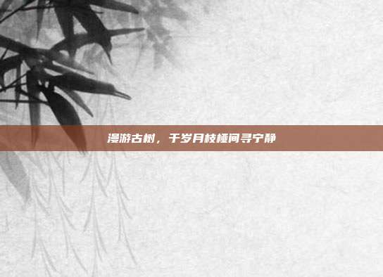 漫游古树,于岁月枝桠间寻宁静