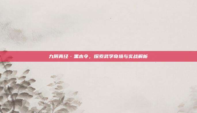 九阴真经·黑木令,探索武学奇境与实战解析