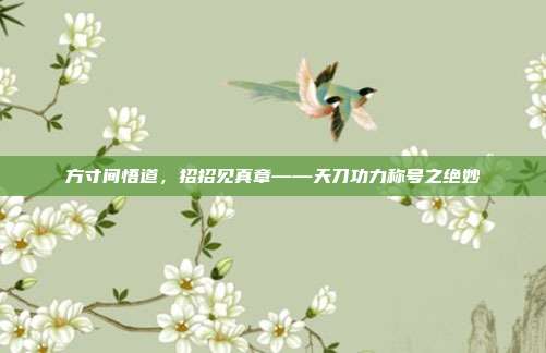 方寸间悟道,招招见真章——天刀功力称号之绝妙