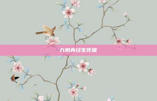 九阴真经生死擂