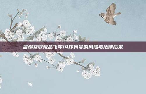 警惕获取极品飞车14序列号的风险与法律后果