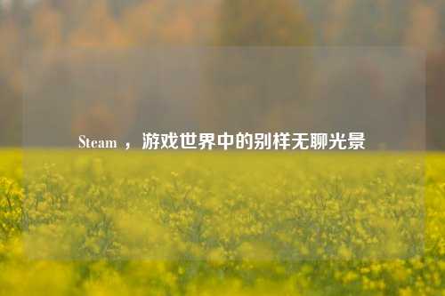 Steam ,游戏世界中的别样无聊光景