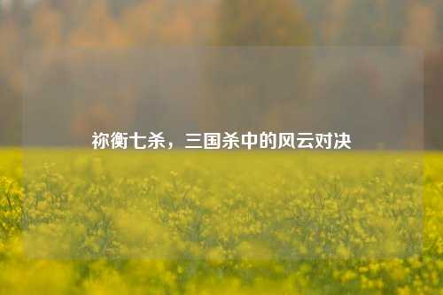 祢衡七杀,三国杀中的风云对决