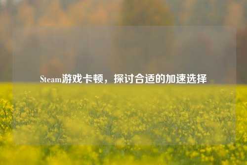Steam游戏卡顿,探讨合适的加速选择