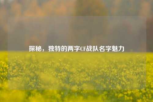 探秘,独特的两字CF战队名字魅力
