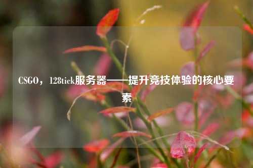CSGO,128tick服务器——提升竞技体验的核心要素