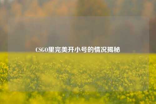 CSGO里完美开小号的情况揭秘