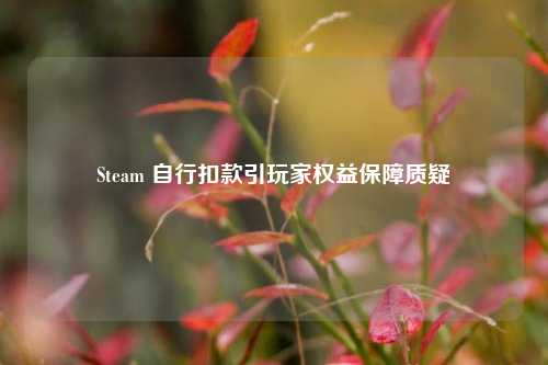 Steam 自行扣款引玩家权益保障质疑