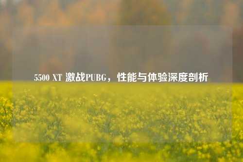 5500 XT 激战PUBG,性能与体验深度剖析