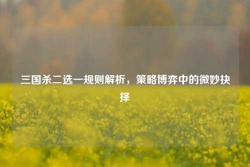 三国杀二选一规则解析,策略博弈中的微妙抉择