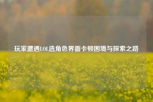玩家遭遇LOL选角色界面卡顿困境与探索之路