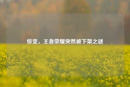 惊变,王者荣耀突然被下架之谜