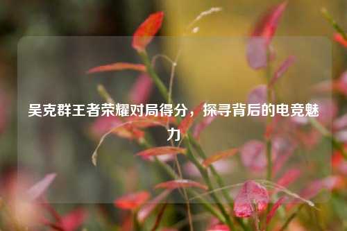 吴克群王者荣耀对局得分,探寻背后的电竞魅力
