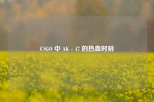 CSGO 中 AK - 47 的热血时刻