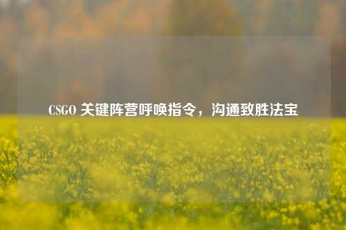 CSGO 关键阵营呼唤指令,沟通致胜法宝