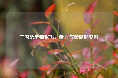 三国杀里猛张飞,武力与策略的交融
