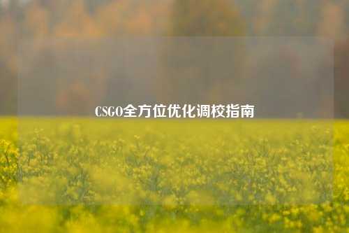 CSGO全方位优化调校指南