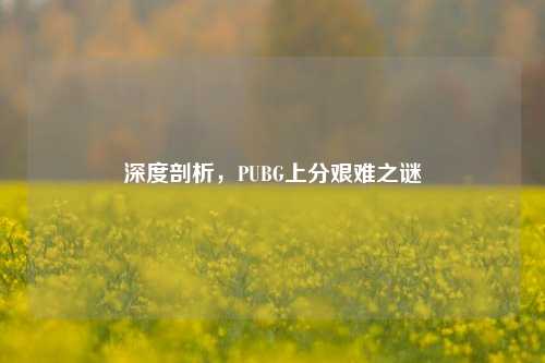 深度剖析,PUBG上分艰难之谜