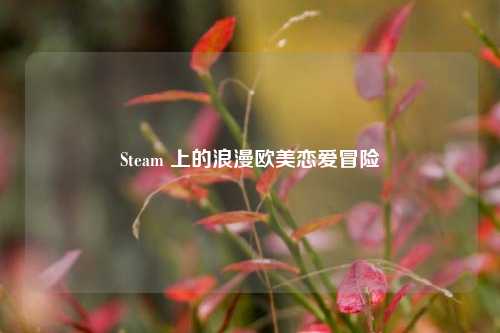 Steam 上的浪漫欧美恋爱冒险