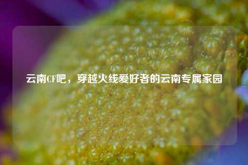 云南CF吧,穿越火线爱好者的云南专属家园