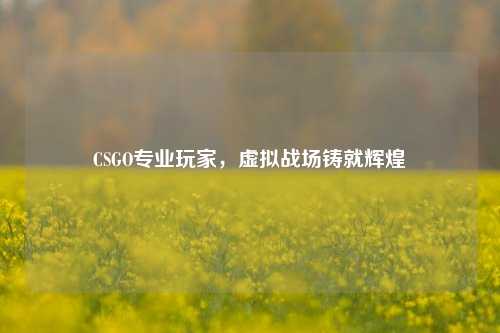 CSGO专业玩家,虚拟战场铸就辉煌