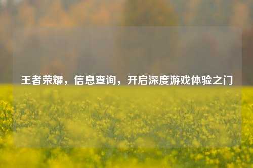王者荣耀,信息查询,开启深度游戏体验之门