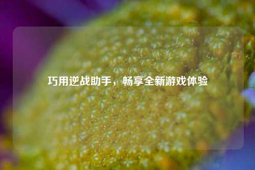 巧用逆战助手,畅享全新游戏体验