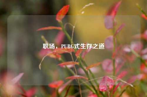 职场,PUBG式生存之道