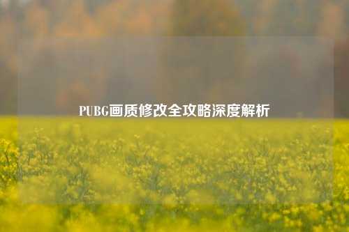 PUBG画质修改全攻略深度解析