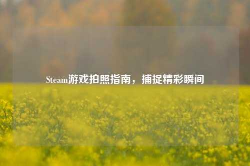 Steam游戏拍照指南,捕捉精彩瞬间